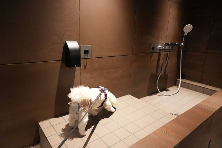 「OMO7横浜 by 星野リゾート」の犬用シャワースペース