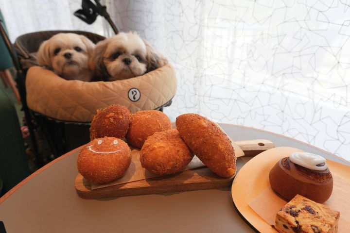 「OMOベーカリー」のカレーパンと犬
