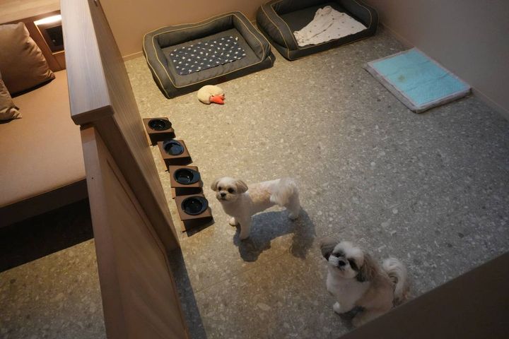 「OMO7横浜 by 星野リゾート」愛犬専用スペース