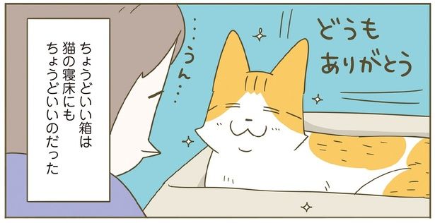 ちょうどいい箱は猫にもちょうどいい （C）卵山玉子／KADOKAWA