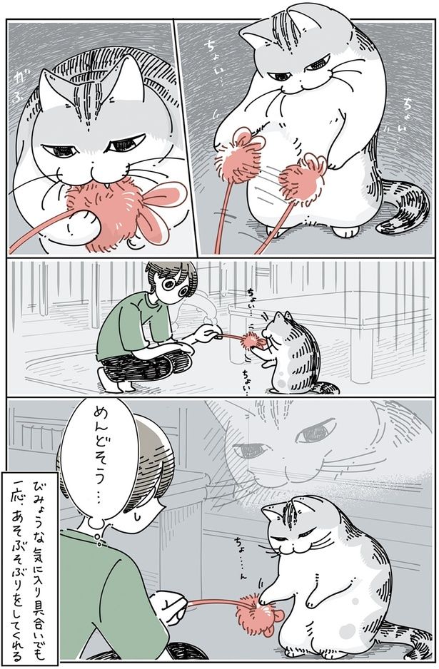 めんどそう… （C）キュルZ／KADOKAWA