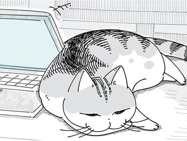 挟まりそうなのに… （C）キュルZ／KADOKAWA