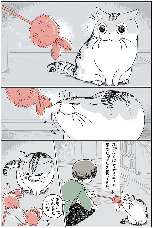 いつもと違うネコじゃらし （C）キュルZ／KADOKAWA