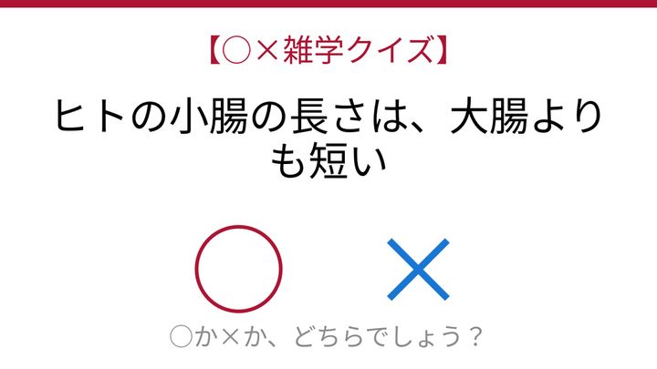 【○×雑学クイズ】これ本当？人体の常識を覆す事実の問題画像