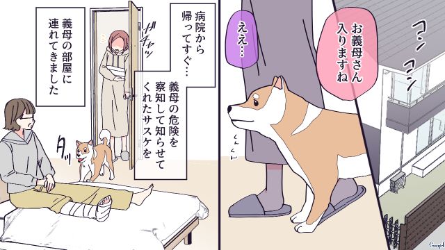 階段から落ちた義母…一度は「手放せ」と言ったけど、危険を知らせ療養に付き添ってくれた嫁の愛犬と距離が縮まった話