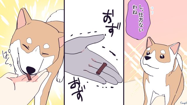 階段から落ちた義母…一度は「手放せ」と言ったけど、危険を知らせ療養に付き添ってくれた嫁の愛犬と距離が縮まった話