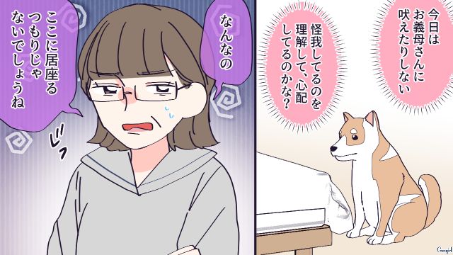 階段から落ちた義母…一度は「手放せ」と言ったけど、危険を知らせ療養に付き添ってくれた嫁の愛犬と距離が縮まった話