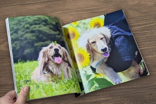 愛犬・愛猫が本になる！家族・友人へ贈れる「うちのこ写真集」ギフト版がスタート