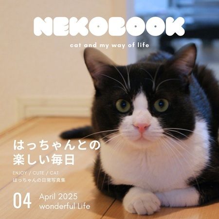 愛犬・愛猫が本になる！家族・友人へ贈れる「うちのこ写真集」ギフト版がスタート