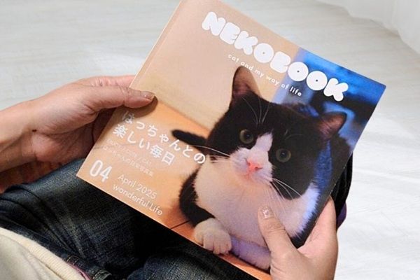 愛犬・愛猫が本になる！家族・友人へ贈れる「うちのこ写真集」ギフト版がスタート