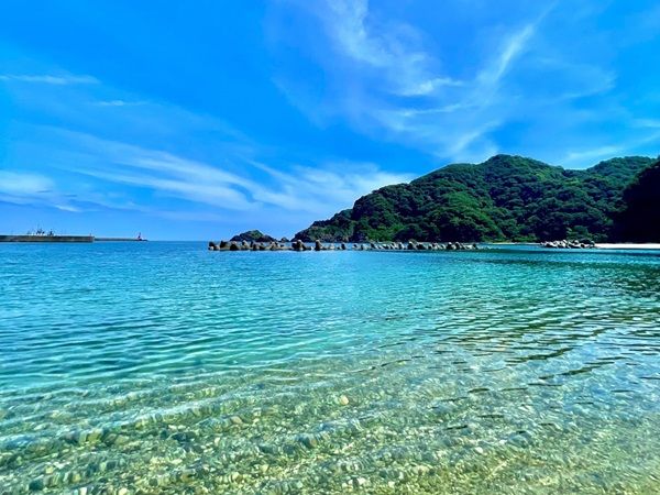 【兵庫県新温泉町】湯村温泉「湧泉の宿ゆあむ」に特選グルメプラン登場！白イカ・アワビ・但馬牛など堪能