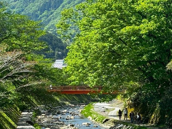 【兵庫県新温泉町】湯村温泉「湧泉の宿ゆあむ」に特選グルメプラン登場！白イカ・アワビ・但馬牛など堪能