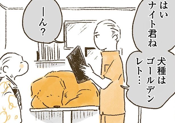 問診票に書いた犬種 （C）佐倉イサミ／KADOKAWA