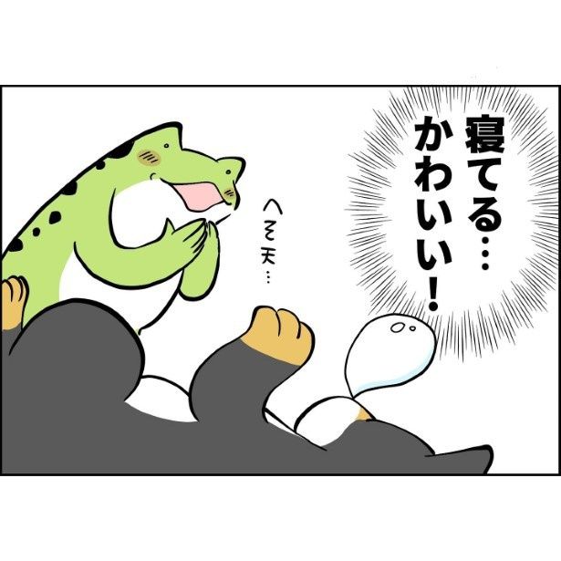 何をしていても、どんな姿でもかわいい！ ユウコトリトリ(@yuko_toritori)