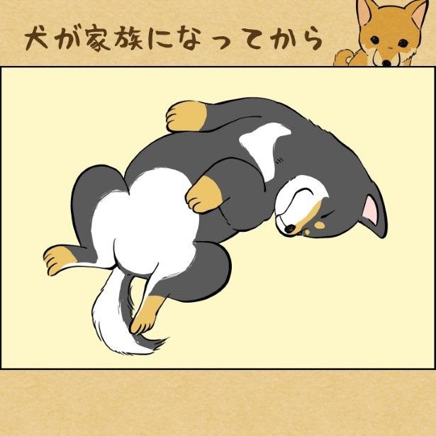 犬が家族になってから1_001 ユウコトリトリ(@yuko_toritori)