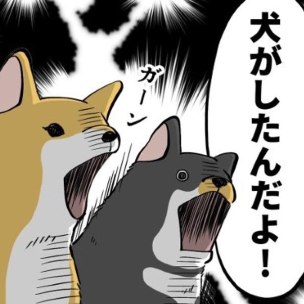 家族の誰もがおならしたことを認めず、まさかの「犬がしたんだよ！」。 ユウコトリトリ(@yuko_toritori)