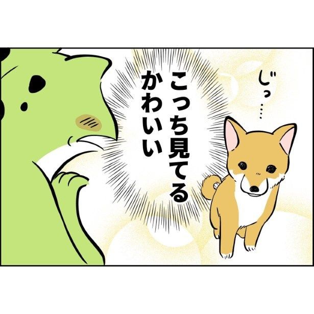 犬が家族になってから1_003 ユウコトリトリ(@yuko_toritori)