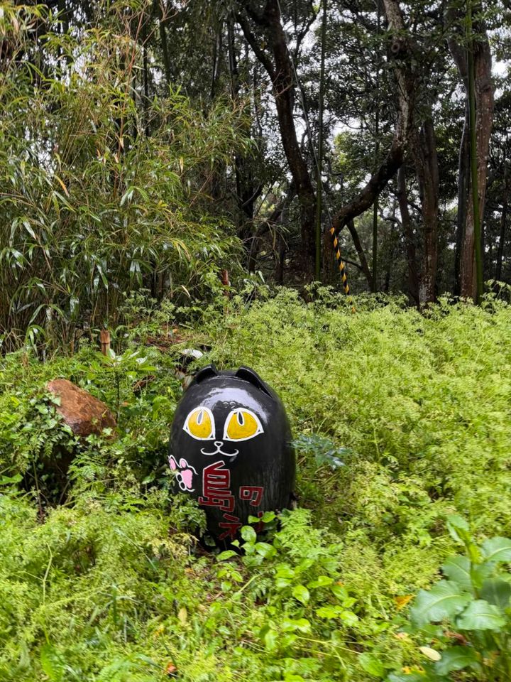 鈴木恵さん6月ブログ③