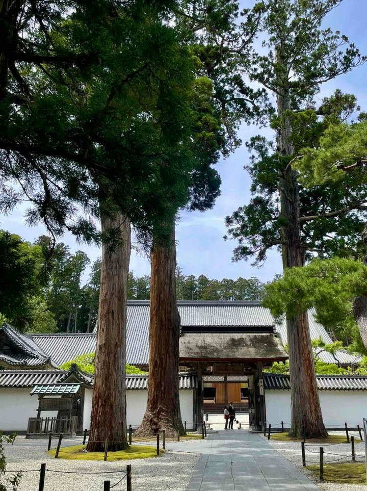 鈴木恵さん6月ブログ⑩