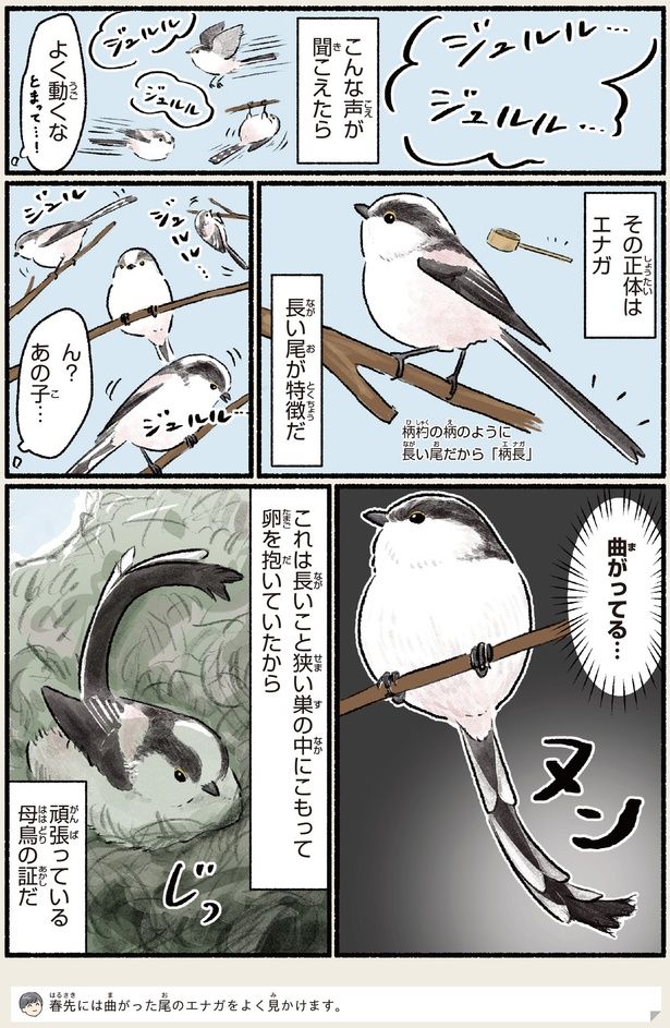曲がってる… （C）piro piro piccolo／KADOKAWA