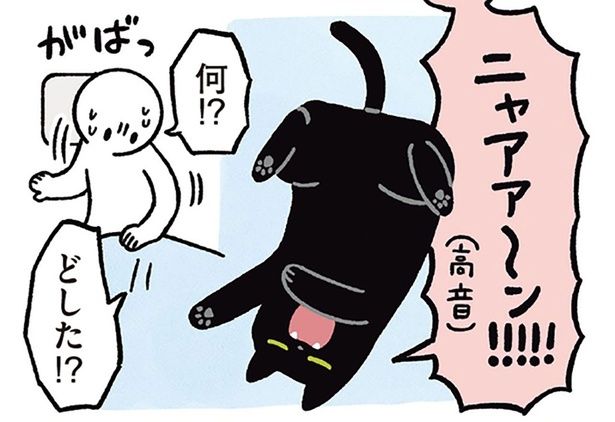 何！？どした！？ （C）AKR／KADOKAWA