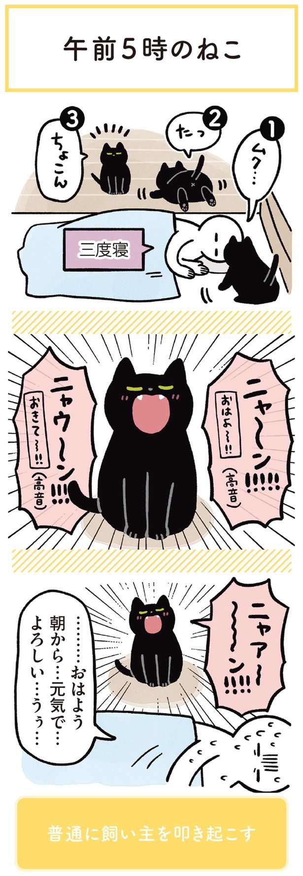 朝から…元気で…よろしい… （C）AKR／KADOKAWA