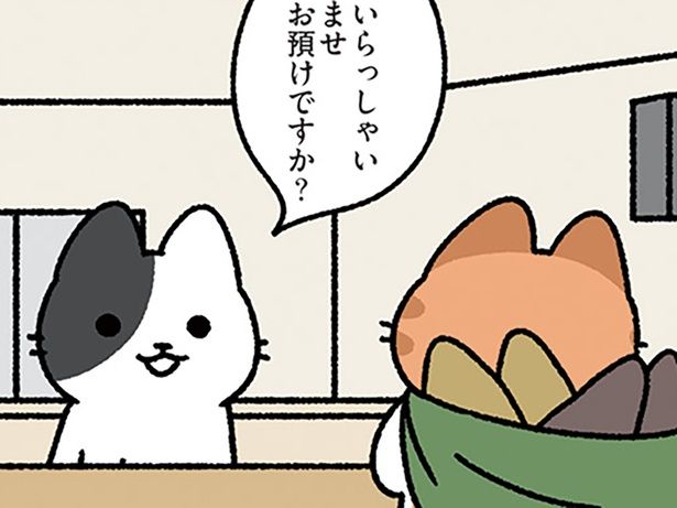 鰹節を… （C）ぱんだにあ／KADOKAWA