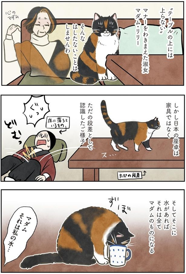 マダムそれは私の水… （C）かんさび／KADOKAWA