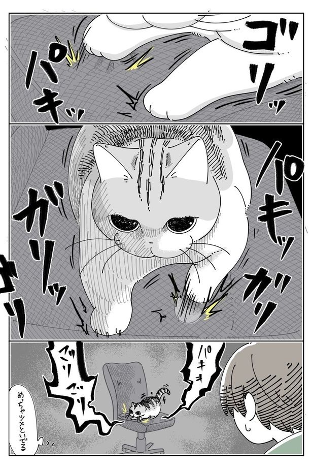 『椅子に夢中』01 画像提供：キュルZ@kyuryuZ