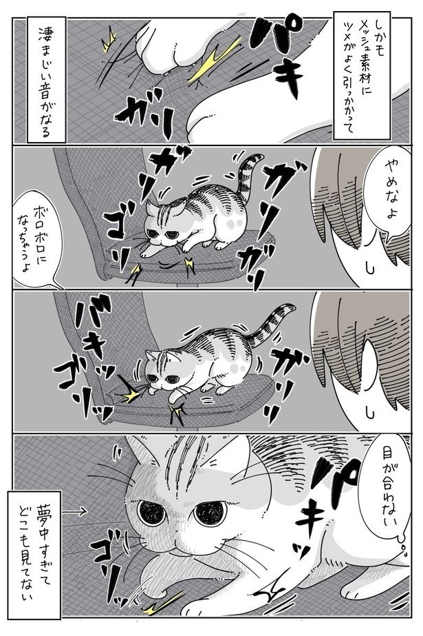 02 画像提供：キュルZ@kyuryuZ