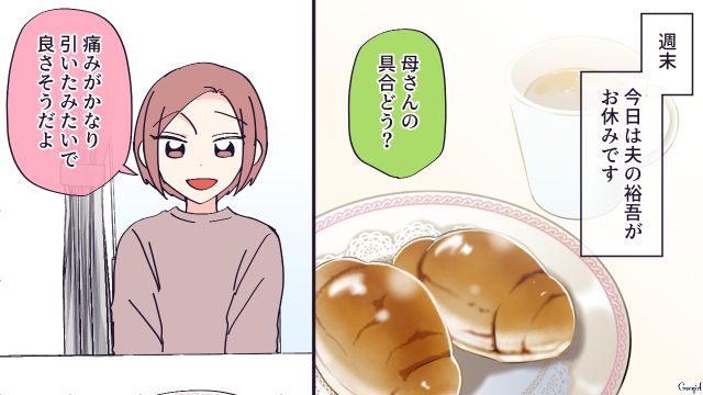 一度は「手放せ」と言われたけど…療養に付き添う愛犬と仲良くなった義母に感動した話