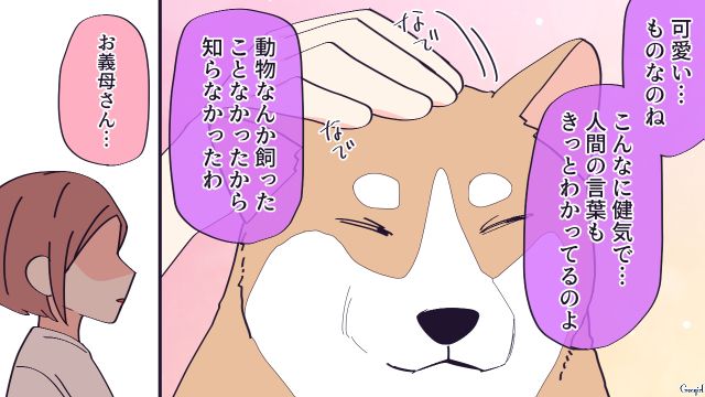 一度は「手放せ」と言われたけど…療養に付き添う愛犬と仲良くなった義母に感動した話