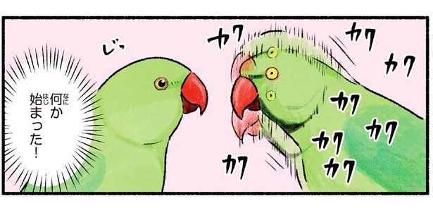 何か始まった！ （C）piro piro piccolo／KADOKAWA