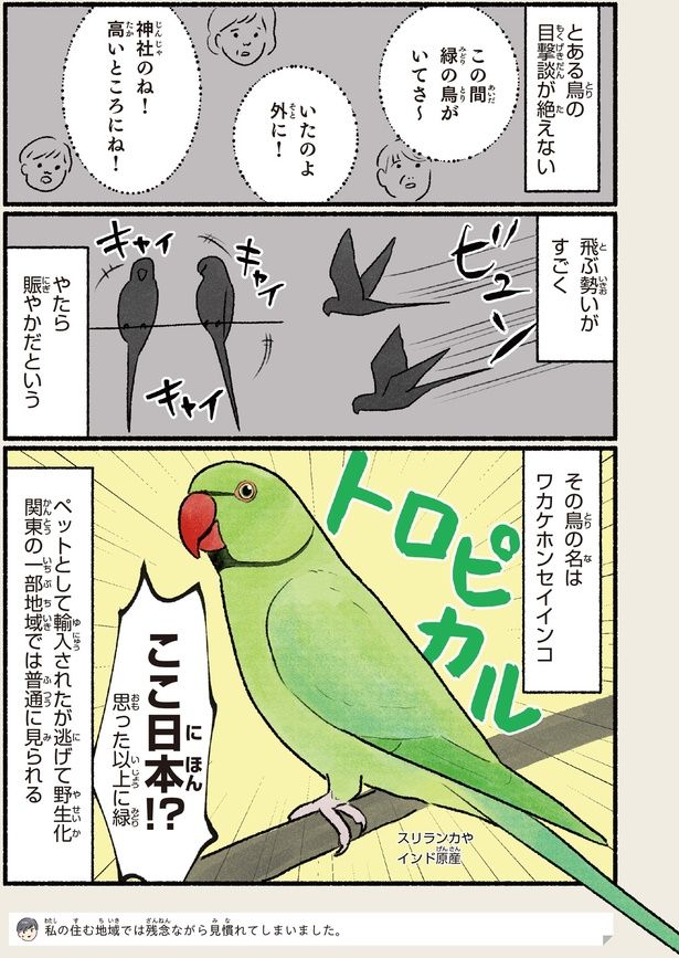 思った以上に緑 （C）piro piro piccolo／KADOKAWA