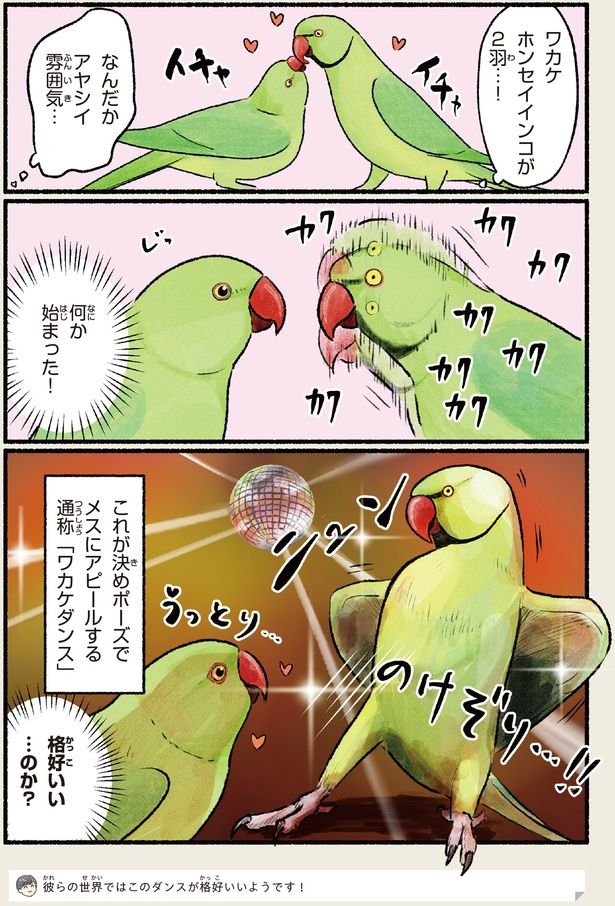 格好いい…のか？ （C）piro piro piccolo／KADOKAWA