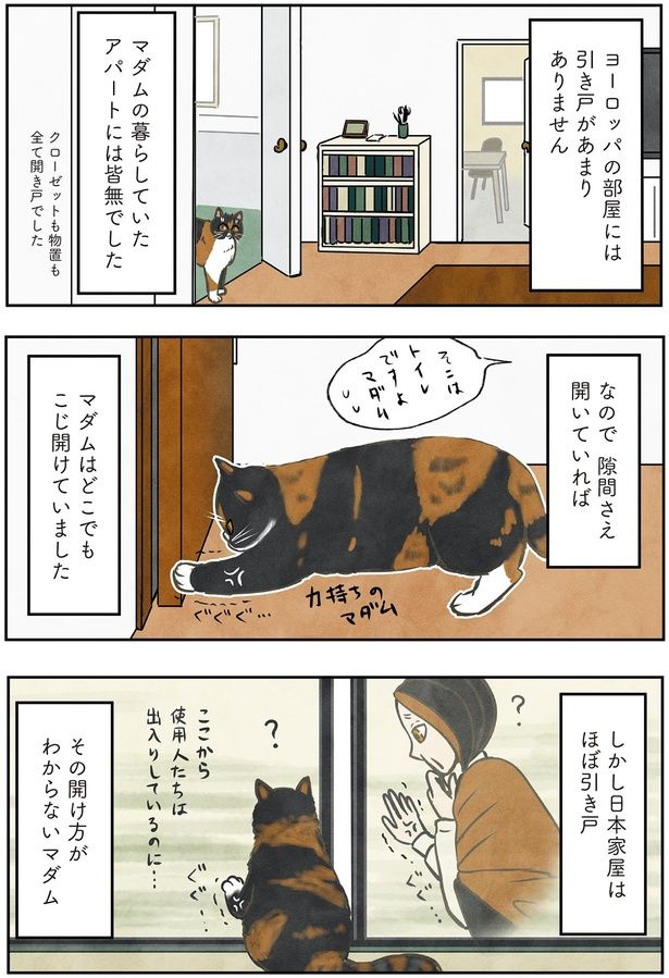 日本家屋はほぼ引き戸 （C）かんさび／KADOKAWA