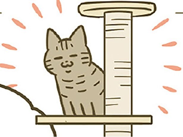 キャットタワーも制覇 （C）卵山玉子／KADOKAWA