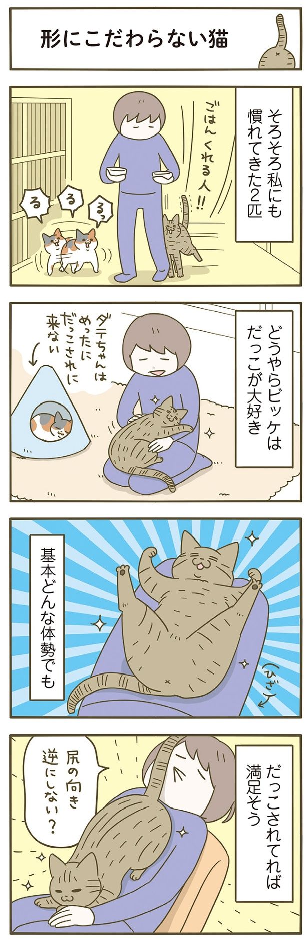 だっこできてれば満足 （C）卵山玉子／KADOKAWA
