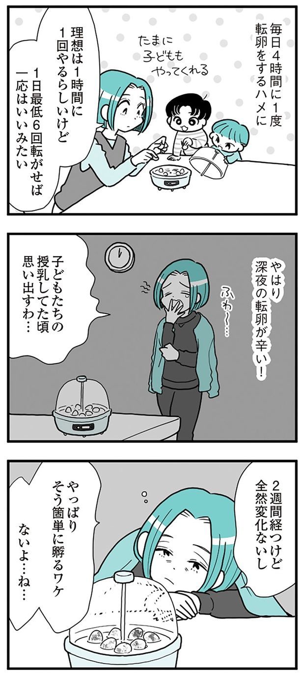 そう簡単に孵るワケ… （C）前川さなえ／KADOKAWA