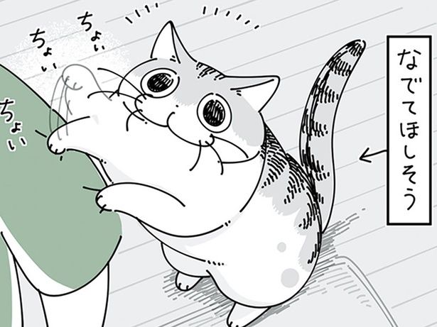 撫でてほしそうにやってくる猫 （C）キュルZ／KADOKAWA