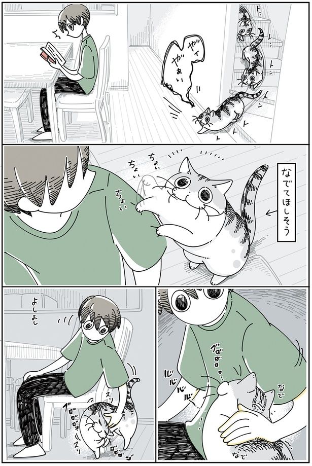 寄り道しちゃうネコ （C）キュルZ／KADOKAWA