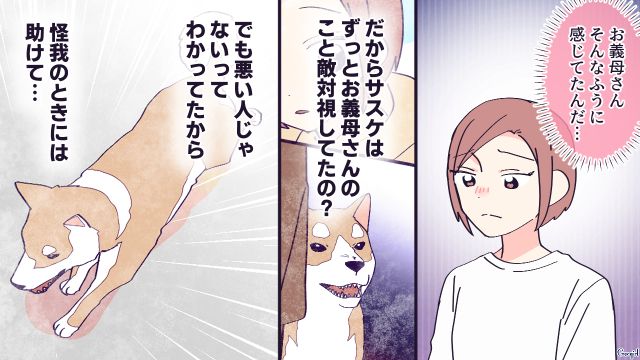 毛嫌いしていた嫁の愛犬がピンチをいち早く察知…過去の行いを謝罪した義母との絆が深まった話