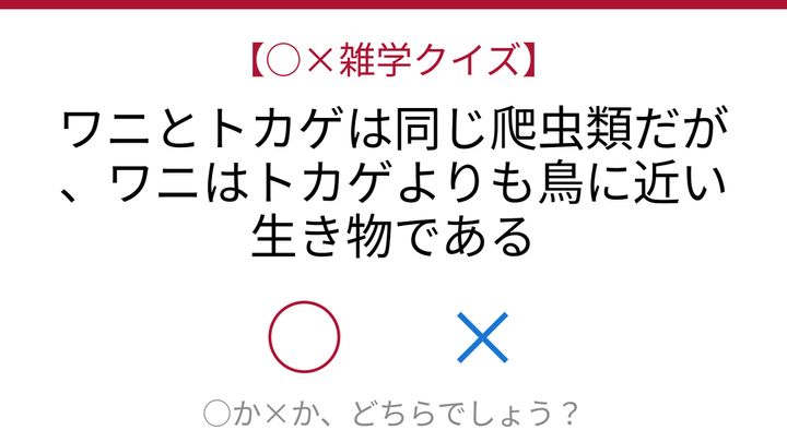【○×雑学クイズ】まさか！進化系統樹の意外な真実の問題画像