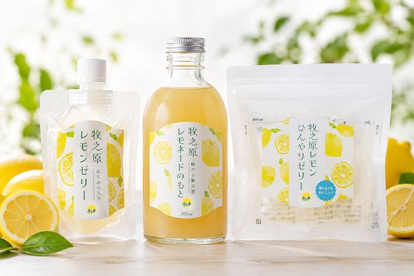 静岡県牧之原市の耕作放棄茶園で栽培されている「牧之原レモン」を使用した加工品が登場