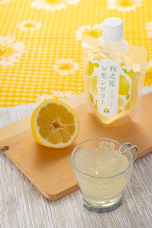静岡県牧之原市の耕作放棄茶園で栽培されている「牧之原レモン」を使用した加工品が登場