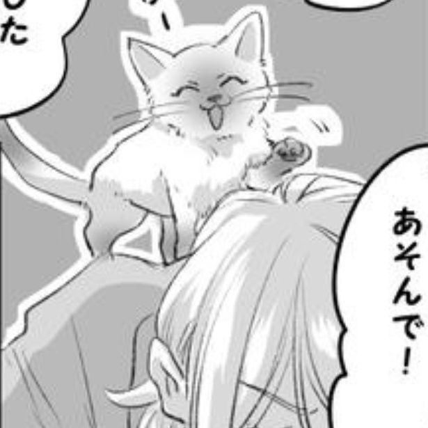 言葉の壁と猫 画像提供：かっく(@cak221)