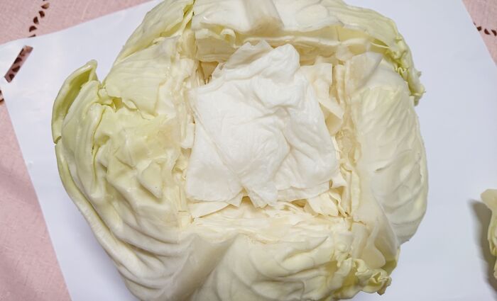 『キャベツの芯』捨てるのやめました！ちょっぴり〈大人な食べ方〉に挑戦→夏夜のお酒のおともに♪