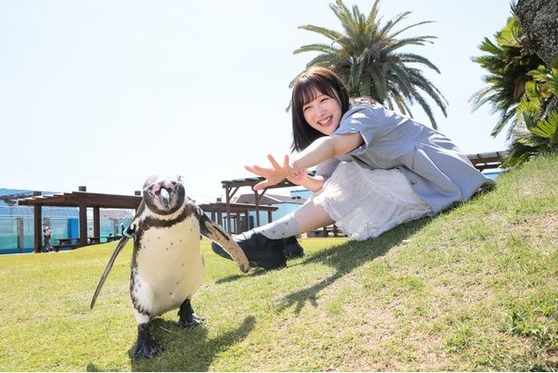 元旦生まれのガンちゃんに翻弄されるなっきぃ (C)KADOKAWA 撮影＝EDWARD.K