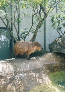 ＜岐阜＞カフェに水族館に図書館、気ままな岐阜ドライブの日【FUDGENA：おおえさきの週末京都クリップ vol.41】
