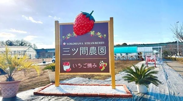 【神奈川県横浜市】三ツ間農園 横浜髙島屋店に「シャリっといちご削りソフト」など新メニュー3品が登場